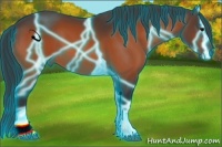 Horse Color:Thunderstruck Bay Tobiano 