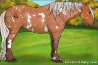 Horse Color:White Spotted Silver Bay 