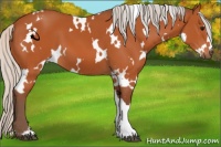 Horse Color:White Spotted Silver Bay 