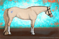 Horse Color:Red Dun Roan Splash Frame Rabicano 