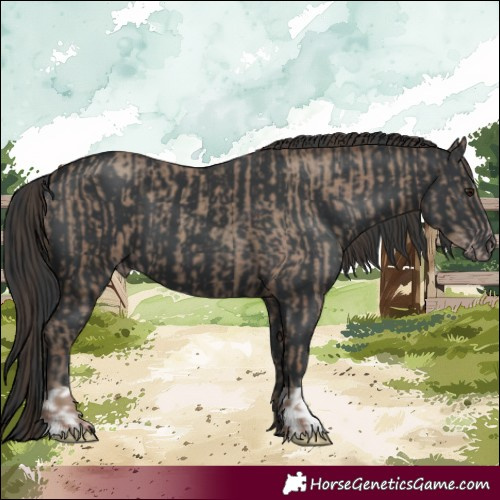 Horse Color:Classic Champagne  and Black 