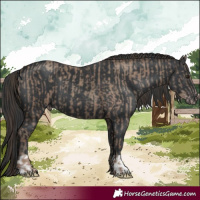 Horse Color:Classic Champagne and Black