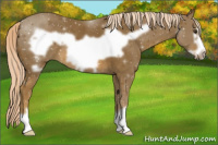 Horse Color:Chocolate Palomino Frame 