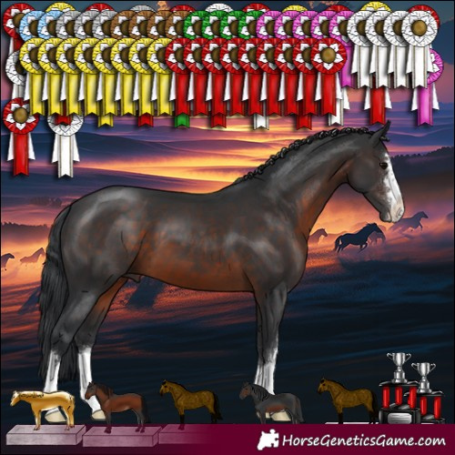 Horse Color:Brown 