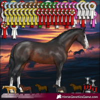Horse Color:Brown 