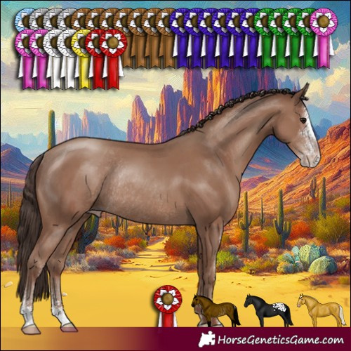 Horse Color:Classic Champagne Sabino Rabicano 