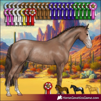 Horse Color:Classic Champagne Sabino Rabicano 