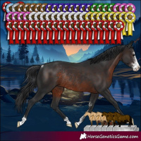 Horse Color:Brown Sabino Rabicano