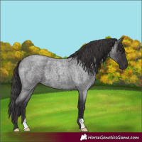 Horse Color:Smoky Blue Roan 