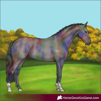 Horse Color:Nacre Grullo 
