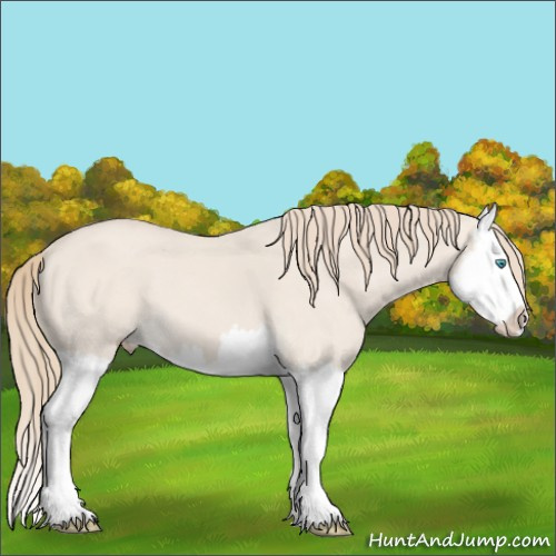 Horse Color:Smoky Creme Dun Splash 
