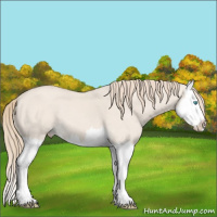 Horse Color:Smoky Creme Dun Splash