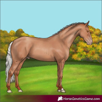 Horse Color:Silver Classic Champagne