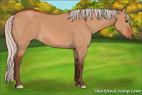 Horse Color:Silver Brown Dun