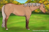 Horse Color:Silver Brown Dun