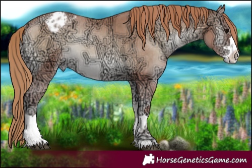 Horse Color:Blue Onyx Ice Pearl Appaloosa 