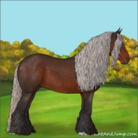Horse Color:Silver Brown 