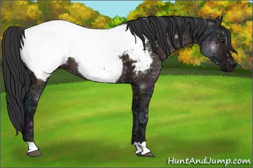 Horse Color:Midnight Brown Ice Snowcap Rabicano 