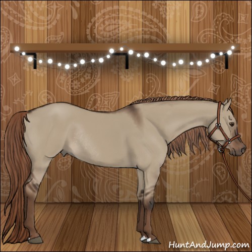 Horse Color:Liver Red Dun Rabicano 