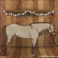 Horse Color:Liver Red Dun Rabicano 