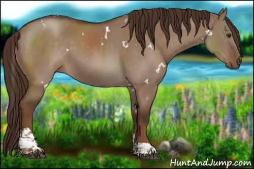 Horse Color:White Spotted Liver Red Dun Tobiano 