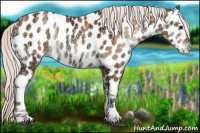 Horse Color:Silver Blue Onyx Ice Pearl Near Leopard 