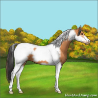 Horse Color:Bay Tobiano Frame 