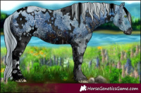 Horse Color:ERROR: UNKNOWN ANOMALY