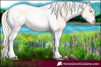 Horse Color:Cremello Dun Tobiano Frame Rabicano 