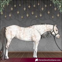 Horse Color:White Spotted Bay Dun Rabicano  and White Spotted Bay Dun Rabicano 