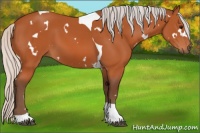 Horse Color:White Spotted Silver Bay Tobiano 
