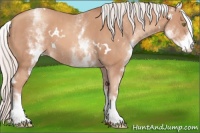 Horse Color:White Spotted Silver Classic Champagne 