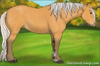 Horse Color:Silver Buckskin Roan Sabino