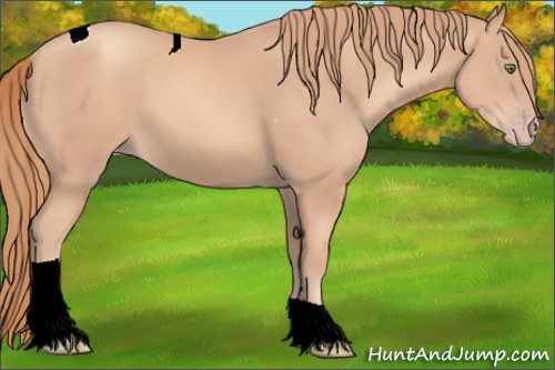 Horse Color:Gold Champagne Tobiano 