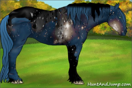 Horse Color:ERROR: UNKNOWN ANOMALY