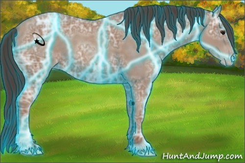 Horse Color:Thunderstruck Classic Champagne Ice 