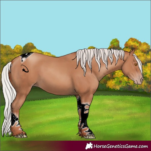 Horse Color:Silver Classic Champagne Tobiano 