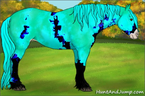 Horse Color:White Spotted Palomino 