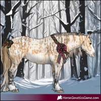 Horse Color:Buckskin Frame and Buckskin Dun Splash Blanket