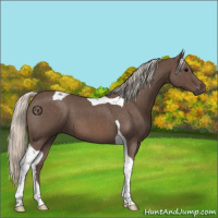 Horse Color:Silver Blue Roan Tobiano 