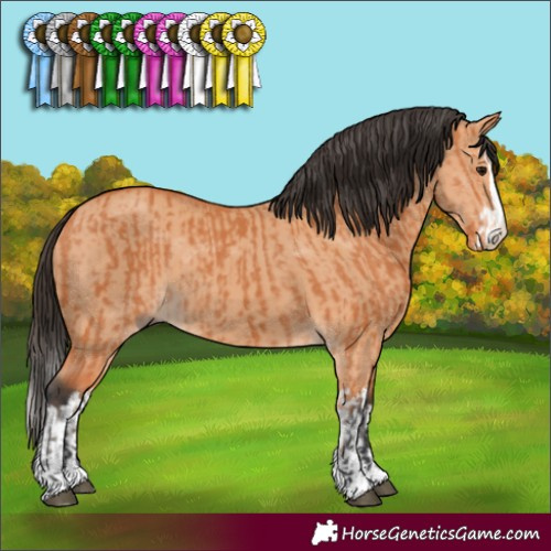 Horse Color:Bay Splash  and Bay Dun Splash 