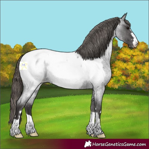 Horse Color:Smoky Blue Roan Snowcap 
