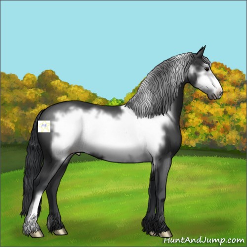 Horse Color:Black Frame 
