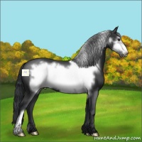 Horse Color:Black Frame 