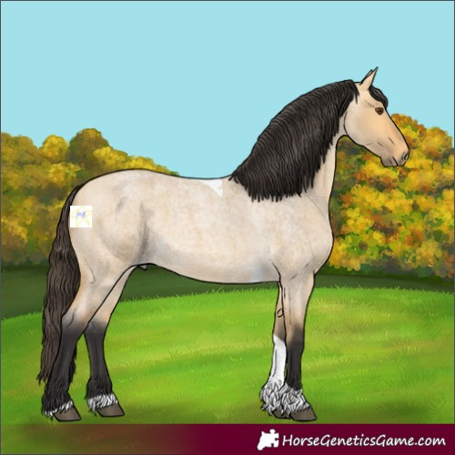 Horse Color:Buckskin Roan Dun Tobiano 