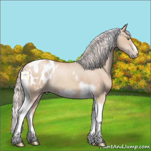 Horse Color:Silver Classic Champagne Dun Tobiano Frame Appaloosa Rabicano 