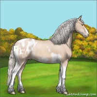 Horse Color:Silver Classic Champagne Dun Tobiano Frame Appaloosa Rabicano