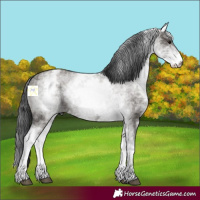 Horse Color:White Spotted Grullo Ice 