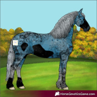 Horse Color:ERROR: UNKNOWN ANOMALY