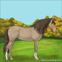 Horse Color:Classic Cream Champagne Roan